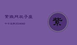 紫微网双子座今日运势(20240605)