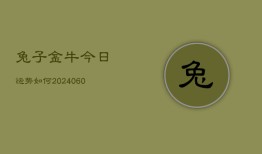 兔子金牛今日运势如何(20240604)