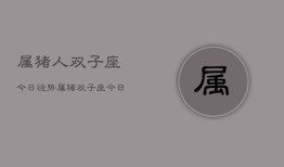 属猪人双子座今日运势，属猪双子座今日运势详解