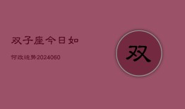 双子座今日如何改运势(20240606)