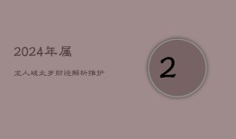 2024年属龙人破太岁财运解析：维护合作，明算账求稳定