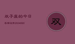 双子座的今日感情运势(20240606)