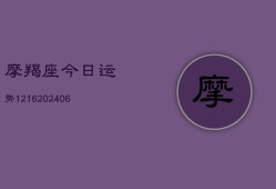 摩羯座今日运势1216(20240615)