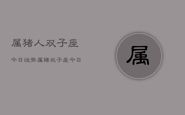 属猪人双子座今日运势，属猪双子座今日运势详解